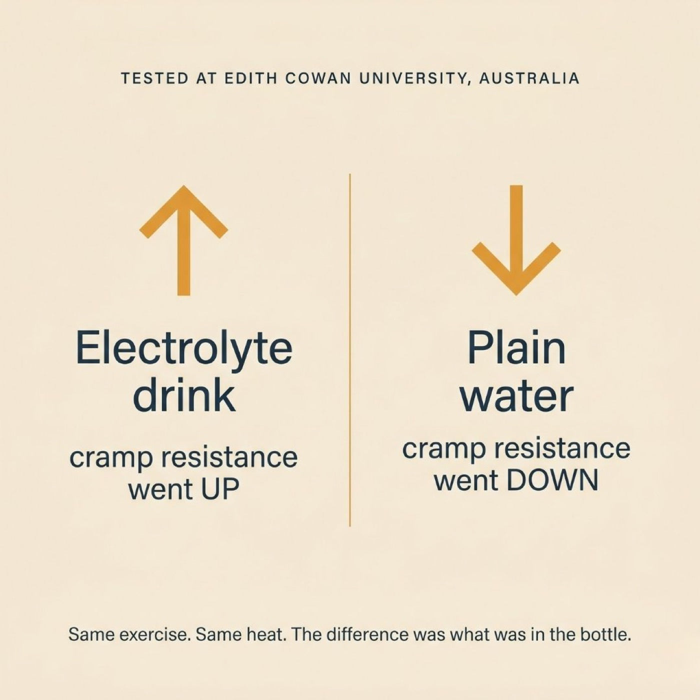 Tested at Edith Cowan University, Australia: with an electrolyte drink cramp resistance went up, with plain water it went down. Same exercise, same heat.